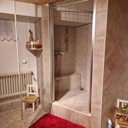 Grosses Gemuetliches Zimmer Mit Eigener Dusche Und Sauna Auf Wunsch Райнштеттен Экстерьер фото